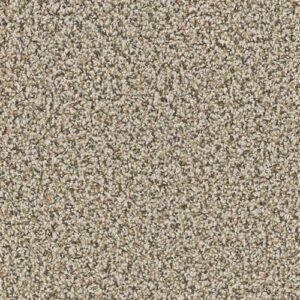 Cherry Creek Plus in Firecracker by Engineered Floors - Dreamweaver