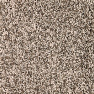 Soft Dimensions II Swiss Coffee by Mohawk Industries