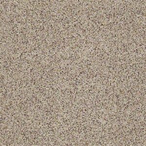 West Place II in Terrazo by Shaw Industries