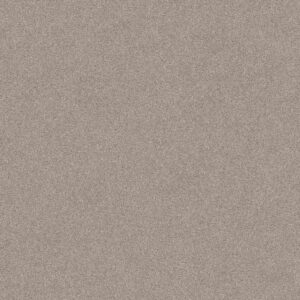 Harmonious II in Fossil Path by Shaw **CLOSE OUT SPECIAL. CHECK STOCK**