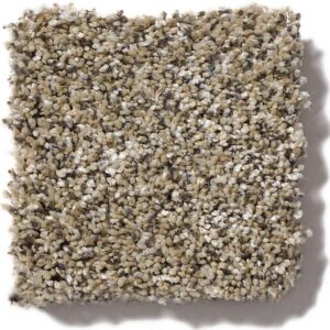 Because We Can I in Seashell by Shaw Industries