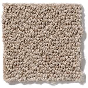 Smart Thinking in Safari by Shaw Industries *LIMITED STOCK*