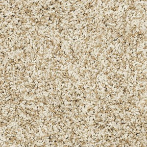 PET PREMIER CANINE CHIC COLOR COCONUT by Mohawk