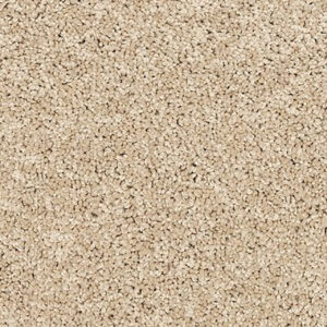 PET PREMIER CLAWS AND EFFECT II  COLOR SANDY BEACH by Mohawk