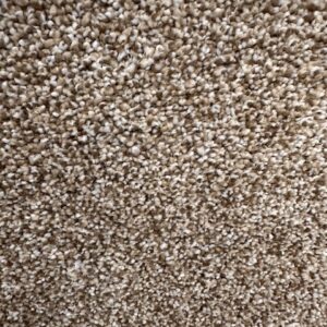 TOP FLIGHT II IN COLOR DUNE