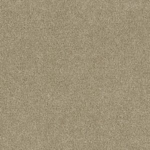 Dream Weaver Foxwood ll in Cashmere 50oz.