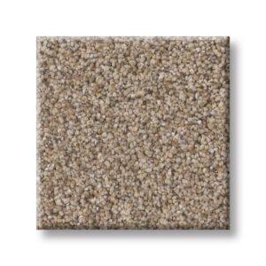 Shaw Elevated l in color Summer Straw
